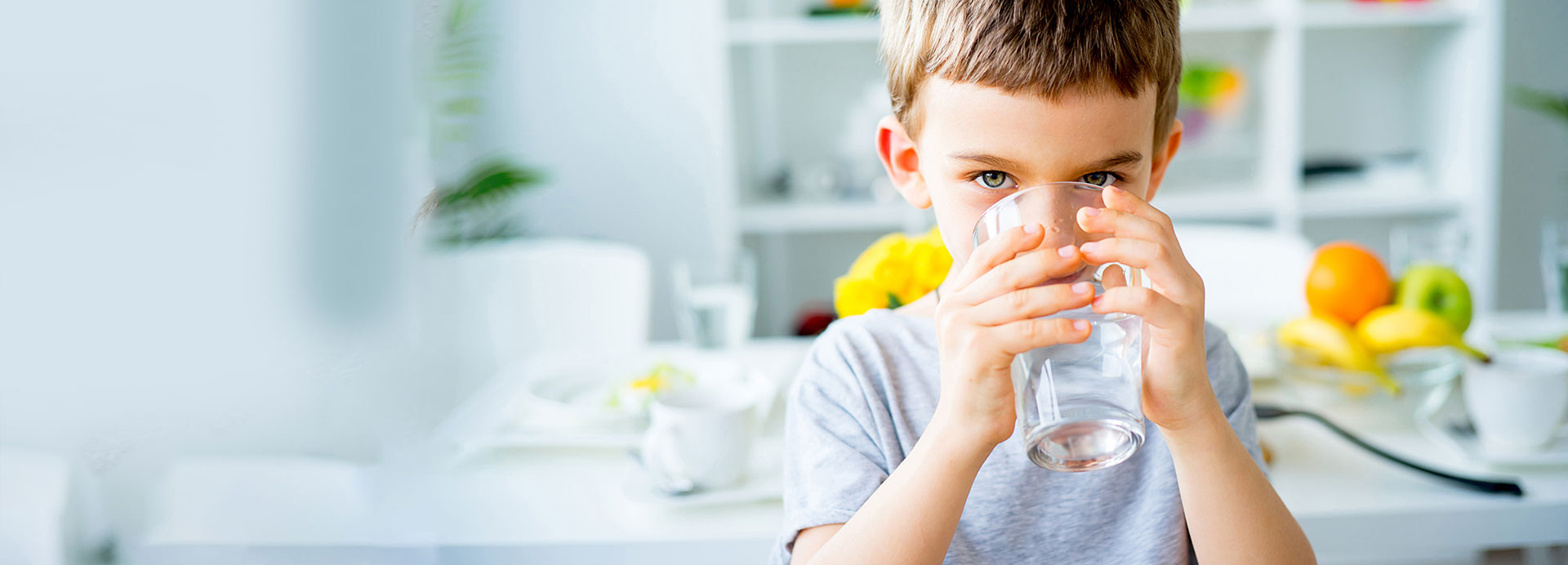 Water Treatment Chemicals, Equipment & Service Hawkins