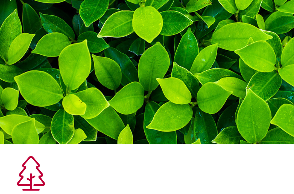 sustainability
