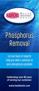 Phosphorus removal