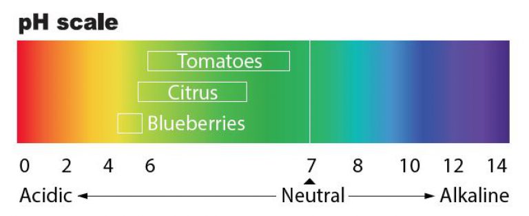 pH-scale-768x314