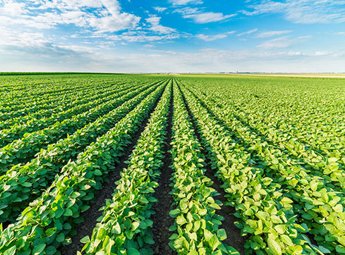 Agricultural fertilizer, crop preservation